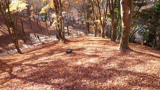 落ち葉のじゅうたん