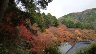 振り返ると景色が！