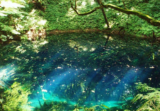 白神山地 青森県 クチコミ アクセス 営業時間 白神山地 フォートラベル