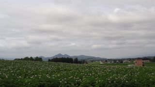 羊蹄山、ニセコ連山が良く見えます