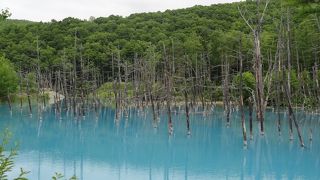 天気が悪くても青い池！