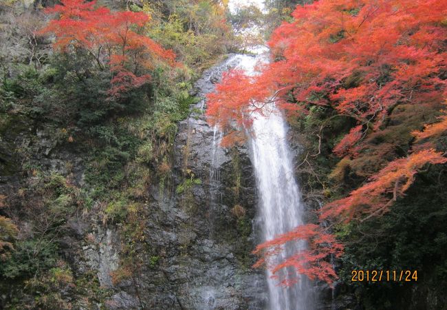 紅葉のときです。