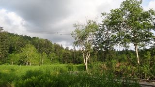 勇駒別（ゆこまんべつ）湿原の自然探勝路を歩きました