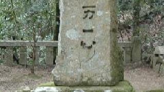 春は桜がきれいです