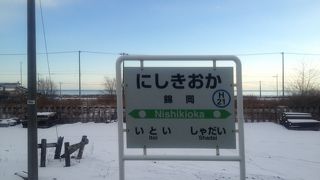 海と住宅地とのコントラストが印象的