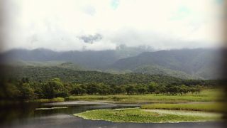 運がよければ熊に遭遇！？