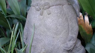 みているだけで癒されますよ！