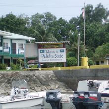 ツアーボートが発着するノース・ドッグ！