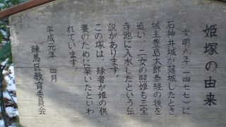 照姫祭りの方が有名になってしまったので・・・