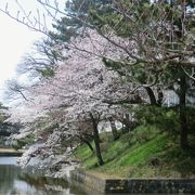 土浦の桜の名所のひとつ。