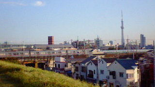 スカイツリーと合わさると絵になる土手