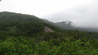 爽快なアルペンルート、夏季限定