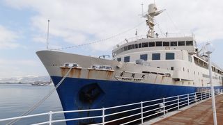 蘇る過去の記憶