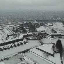 3月　五稜郭方面の眺め