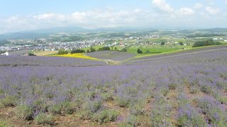 夏の時期、歩いて登るのは、ちょっと辛い展望台