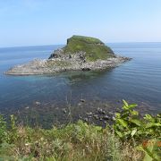 ポンモシリ島への浅瀬に、アザラシの姿を見かけました