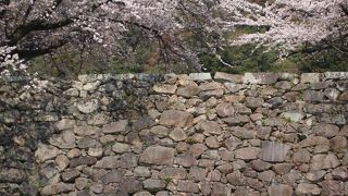 桜の季節はとても混みます