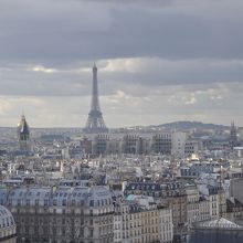 ノートル・ダム寺院からの眺め