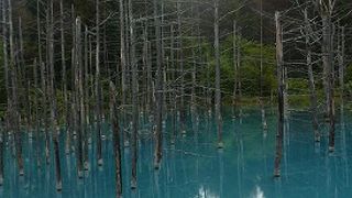 人気急上昇の青い池