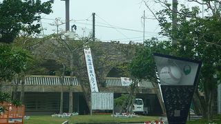 日本ハムファイターズのキャンプまもなく！自主トレは始まってます！