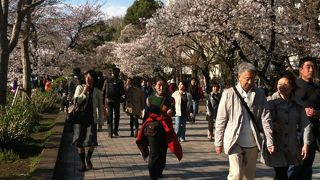 一日楽しめる公園。