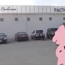 モンゴルのお土産に