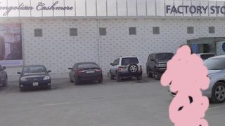 カシミヤがたくさん