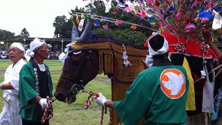 夏には世田谷の区民祭りが！