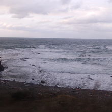 波の根、とはよく言ったものです（笑）