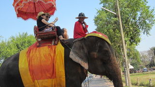 ゾウに乗るのは定番だけど楽しかった！