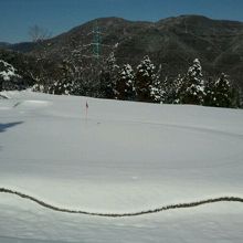 冬は雪が積もる事も〜