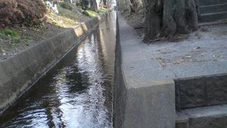 夫婦でお散歩コースに最適です