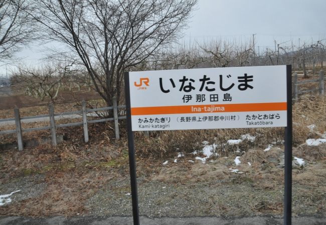 伊那田島駅