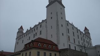 中は見れなかったけれど