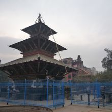 この柵はないでしょう・・・