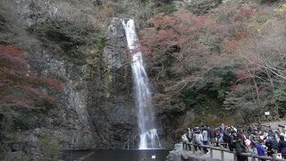 大阪を代表する観光地、紅葉の名所です。
