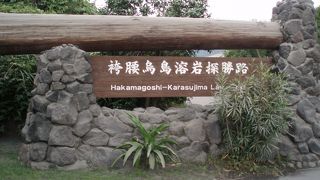 自然に返るんですね…