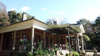 入ってみてください