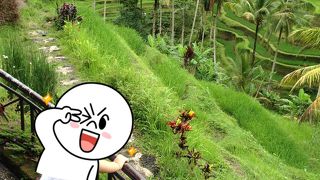 テガラランのライステラスを見ながらフレッシュジュース