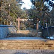 成田山新勝寺の裏手の広大な公園