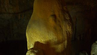 世界初の鍾乳洞イルミネーションが見られる場所