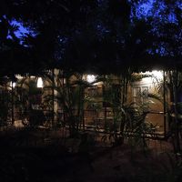 夜間はこのような雰囲気に