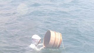 ミキモトの宣伝と思わず歴史を学べる大切な施設