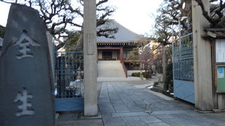 立派な本道でした