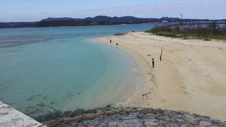 美ら島オキナワセンチュリーラン