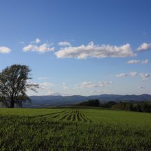 あえてぼちぼちな写真を