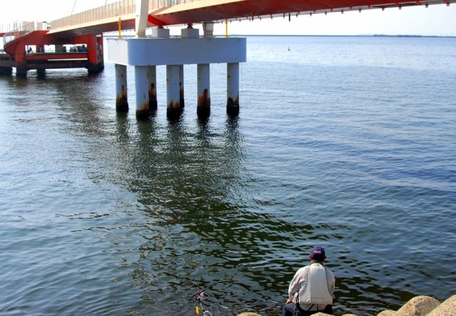 魚つり公園