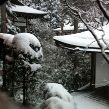 珍しく雪が降って幻想的な恵光院の庭