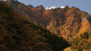 ここの紅葉は最高