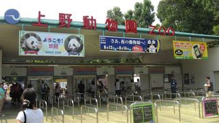 一番有名な動物園では